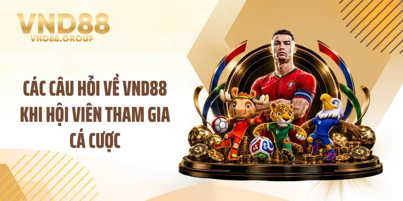 Các câu hỏi về VND88 khi hội viên tham gia cá cược