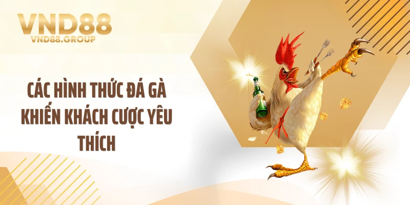 Các hình thức đá gà khiến khách cược yêu thích