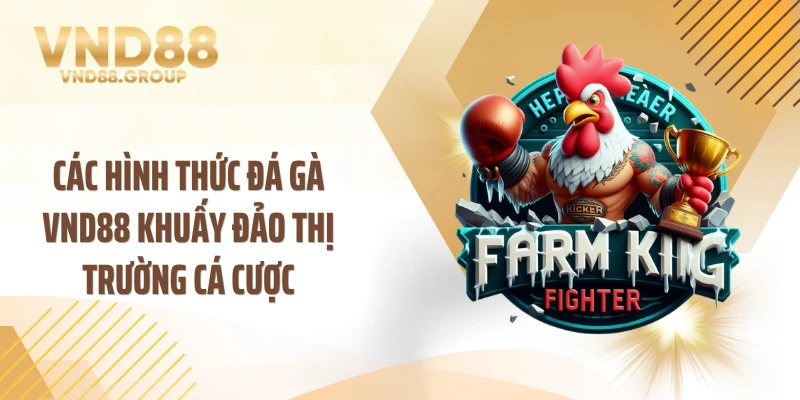 Các hình thức đá gà VND88 khuấy đảo thị trường cá cược