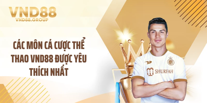 Các môn cá cược thể thao VND88 được yêu thích nhất