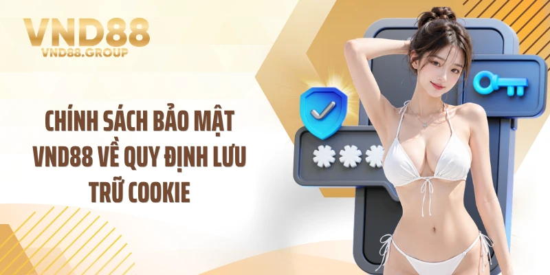 Chính sách bảo mật VND88 về quy định lưu trữ cookie
