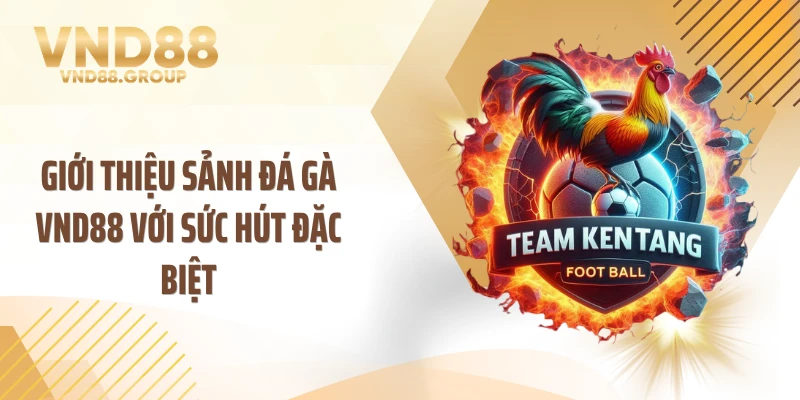 Giới thiệu sảnh đá gà VND88 với sức hút đặc biệt