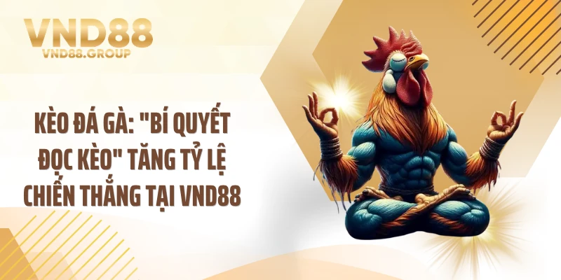 Kèo Đá Gà: "Bí Quyết Đọc Kèo" Tăng Tỷ Lệ Chiến Thắng Tại VND88
