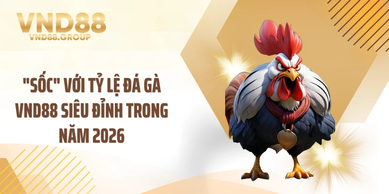 "Sốc" Với Tỷ Lệ Đá Gà VND88 Siêu Đỉnh Trong Năm 2026