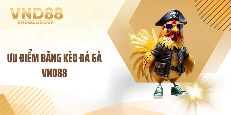 Ưu điểm bảng kèo đá gà VND88