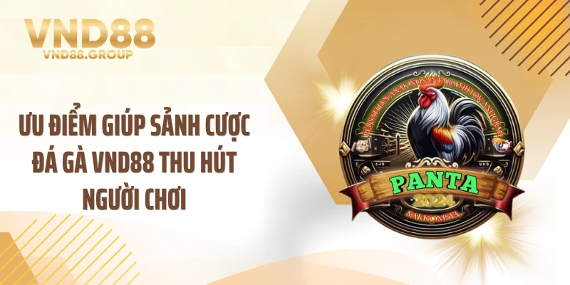 Ưu điểm giúp sảnh cược đá gà VND88 thu hút người chơi