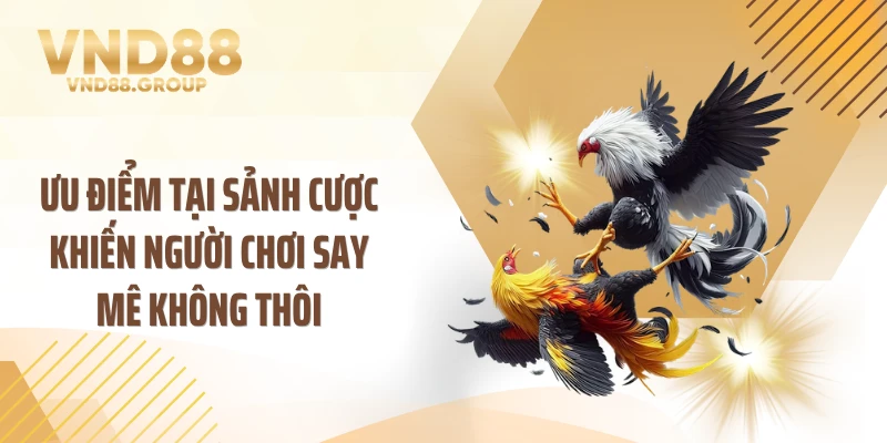 Ưu điểm tại sảnh cược khiến người chơi say mê không thôi