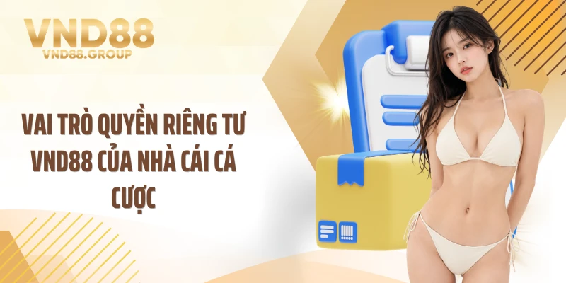 Vai trò quyền riêng tư VND88 của nhà cái cá cược