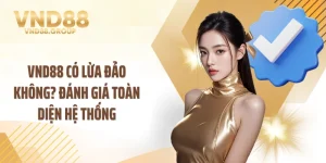 VND88 Có Lừa Đảo Không? Đánh Giá Toàn Diện Hệ Thống