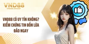 VND88 Có Uy Tín Không? Kiểm Chứng Tin Đồn Lừa Đảo Ngay