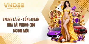 VND88 Là Gì - Tổng Quan Nhà Cái VND88 Cho Người Mới